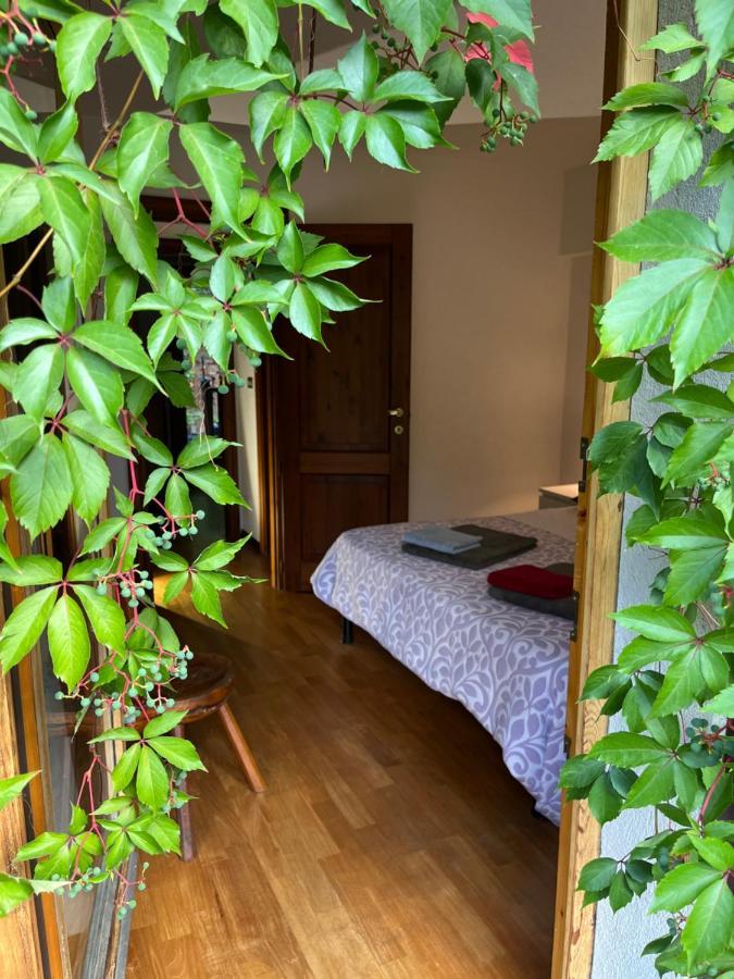Chalet Blanc "Le Flocon" Courmayeur Zewnętrze zdjęcie