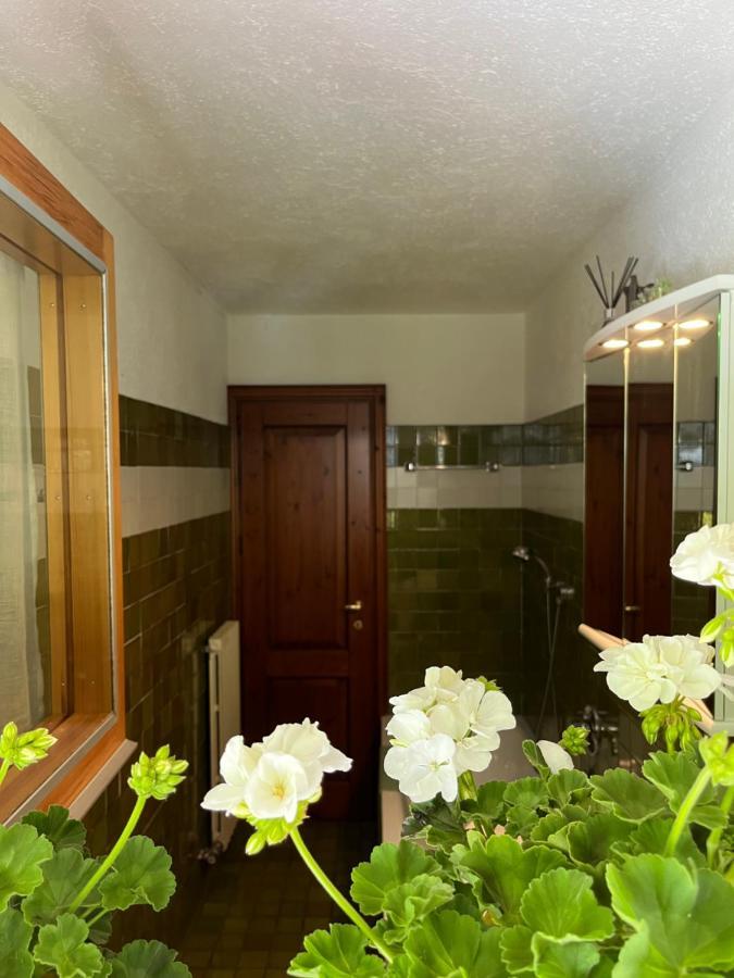 Chalet Blanc "Le Flocon" Courmayeur Zewnętrze zdjęcie