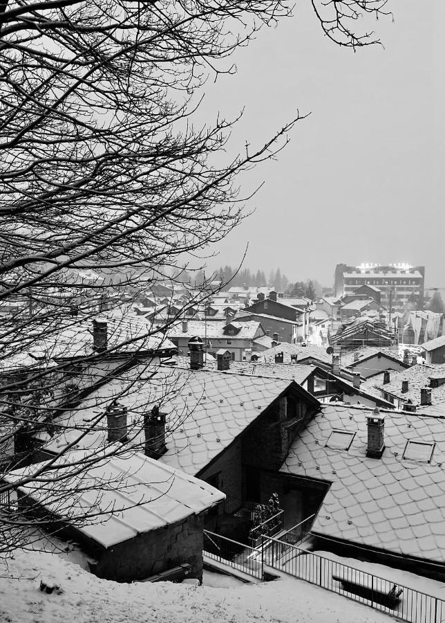 Chalet Blanc "Le Flocon" Courmayeur Zewnętrze zdjęcie