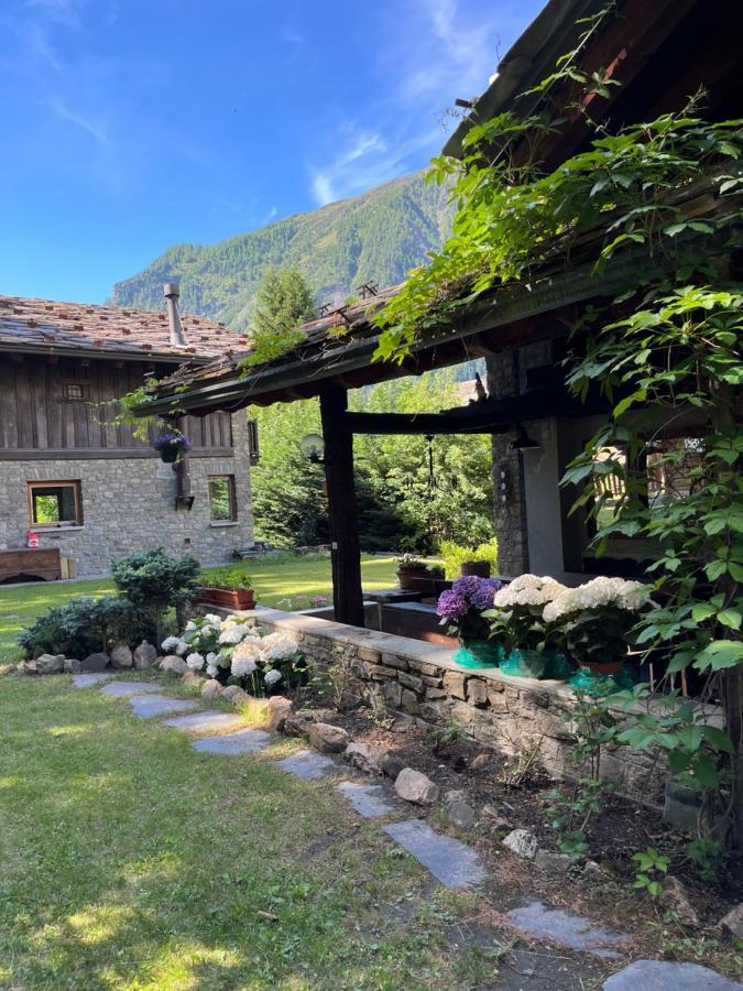 Chalet Blanc "Le Flocon" Courmayeur Zewnętrze zdjęcie